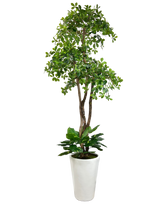 Load image into Gallery viewer, 8' BLACK OLIVE 3-TIER IN WHT FBRGL