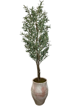 Load image into Gallery viewer, 6.5' YOUNG OLIVE IN TERRACOTTA FBRGL