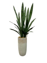 Load image into Gallery viewer, 4' TIGER ORCHID IN GR/BEIGE FBRGL