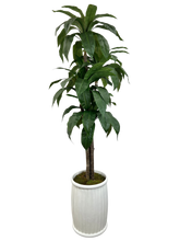 Load image into Gallery viewer, 7' BIRDSNEST IN WHT FBRGL