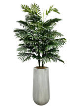 Load image into Gallery viewer, 5.5' PHOENIX PALM IN GRAY FBRGL
