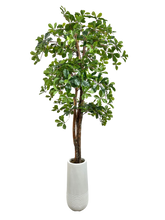 Load image into Gallery viewer, 5.5' BLACK OLIVE 3-TIER IN WHT FBRGL