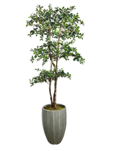 Load image into Gallery viewer, 7&#39; BLACK OLIVE VARI 3-TIER IN GRAY FBRGL
