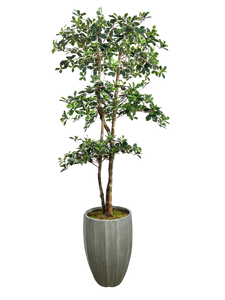 7' BLACK OLIVE VARI 3-TIER IN GRAY FBRGL