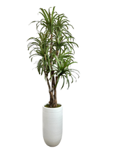 Load image into Gallery viewer, 7.5&#39; YUCCA DLX IN WHT FBRGL
