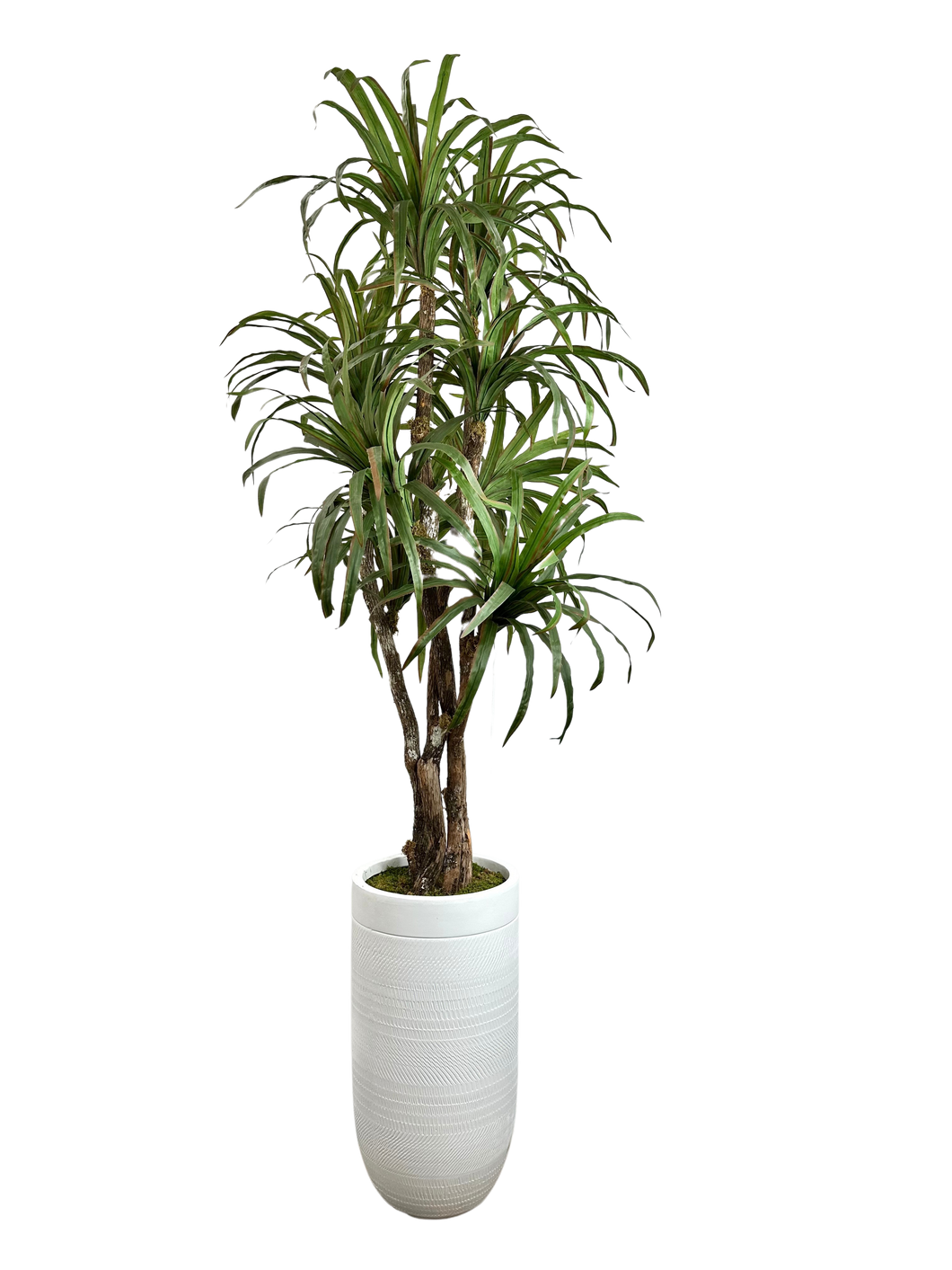 7.5' YUCCA DLX IN WHT FBRGL