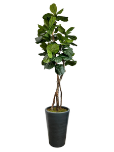 7.5' FIG IN GRAY FBRGL