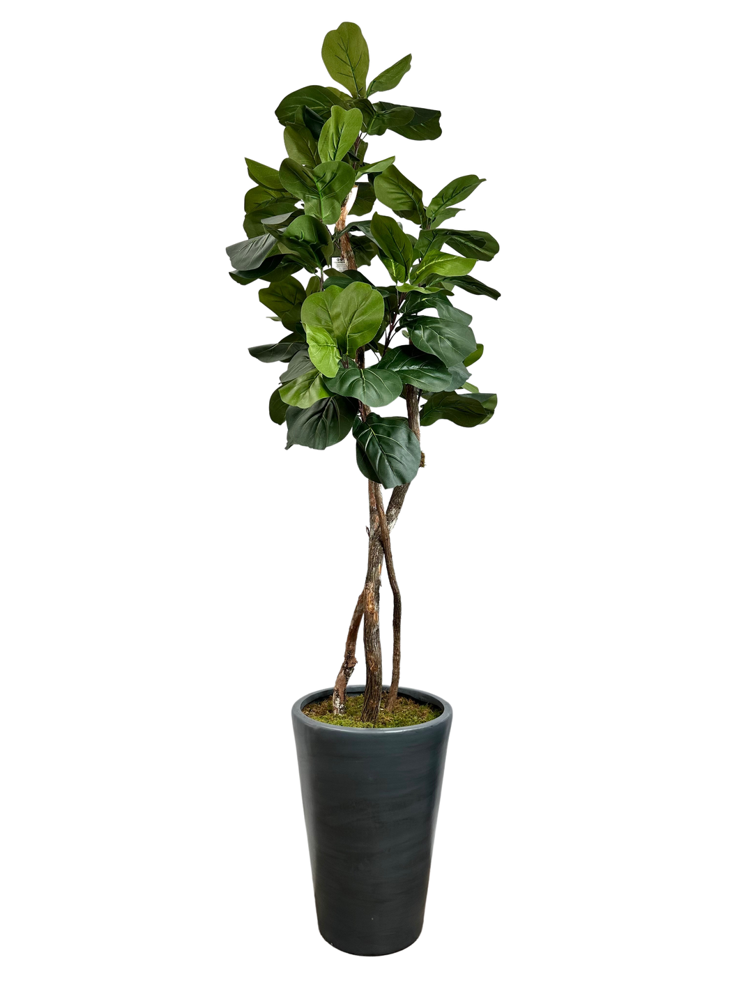 7.5' FIG IN GRAY FBRGL