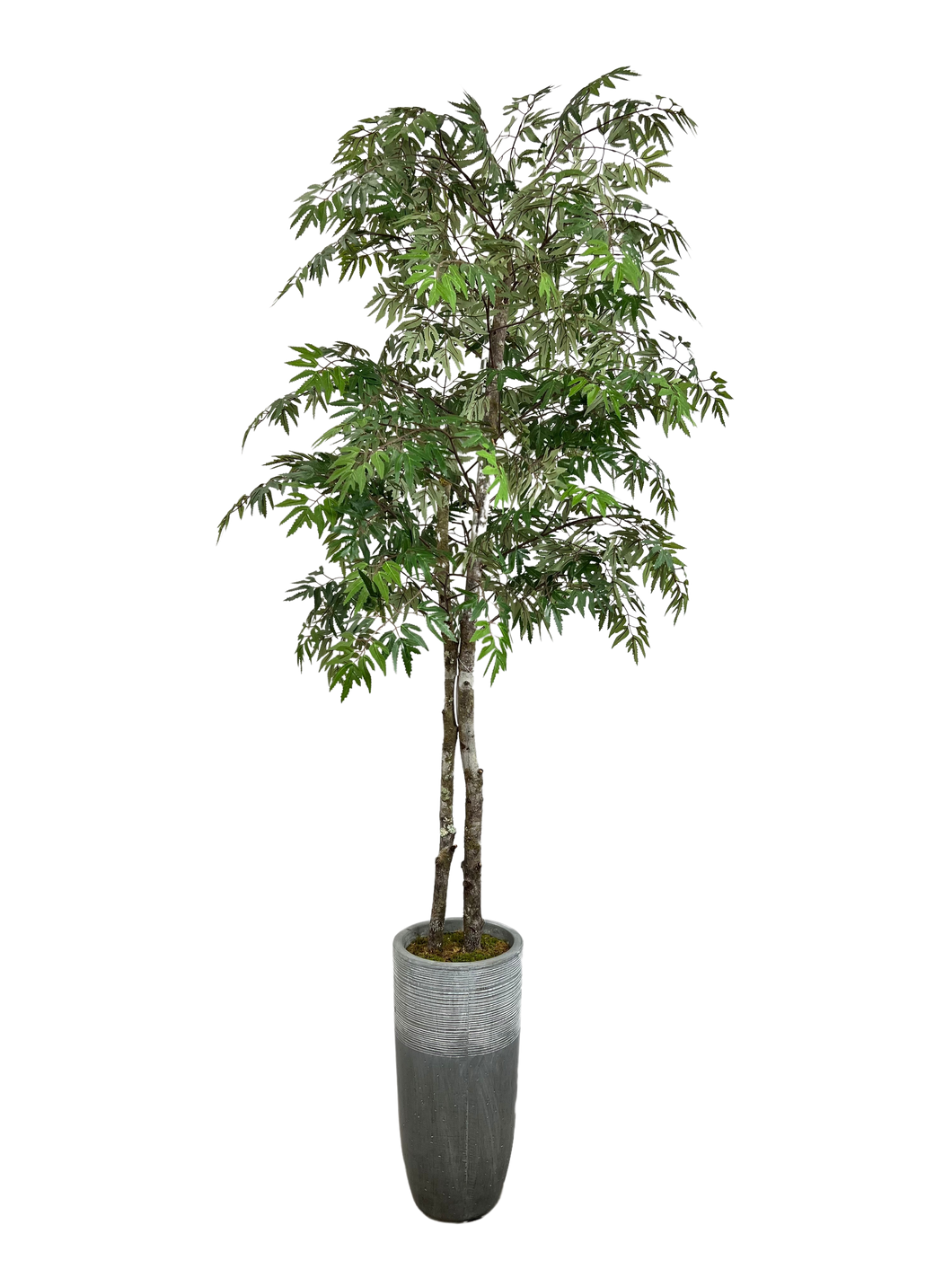 6' MING IN GRAY FBRGL