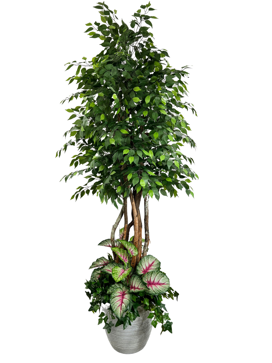 9' Artificial GIANT FICUS Tree IN LT GRAY FBRGL W/UNDERPLT – VerDécor & Co.