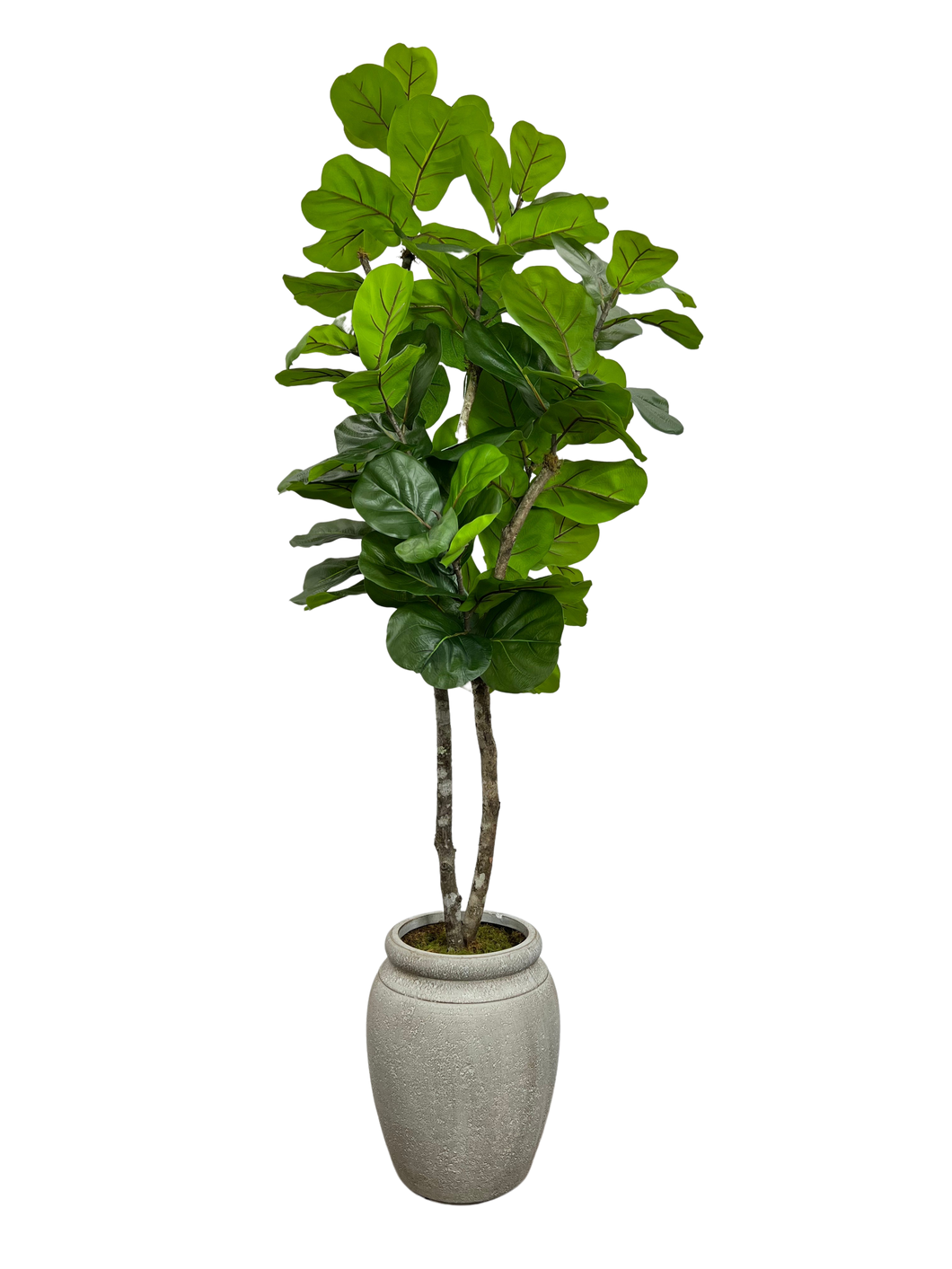 7.5 FIG IN GRAY JAR FBRGL