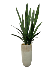 4' TIGER ORCHID IN GR/BEIGE FBRGL