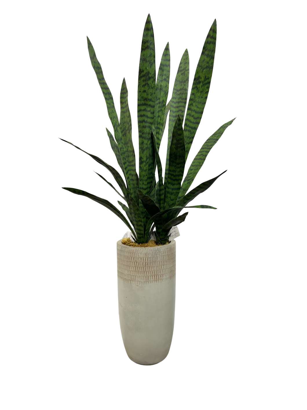 4' TIGER ORCHID IN GR/BEIGE FBRGL
