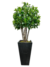 Load image into Gallery viewer, 4&#39; BAY OLIVE IN DK GRAY FBRGL
