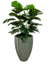 Load image into Gallery viewer, 3&#39; MONSTERA X2 IN GRAY FBRGL

