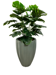 3' MONSTERA X2 IN GRAY FBRGL