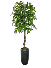 Load image into Gallery viewer, 8&#39; MANGO IN GRAY FBRGL
