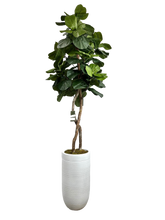 Load image into Gallery viewer, 8&#39; FIG IN WHT FBRGL

