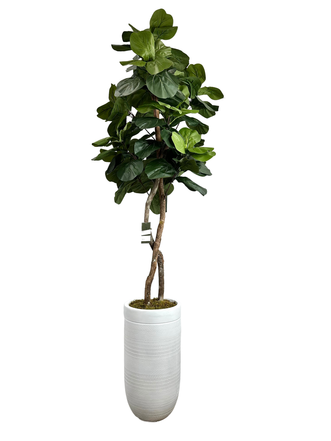 8' FIG IN WHT FBRGL