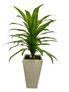 4.5' MASSANGEANA PLANT IN GRAY FBRGL