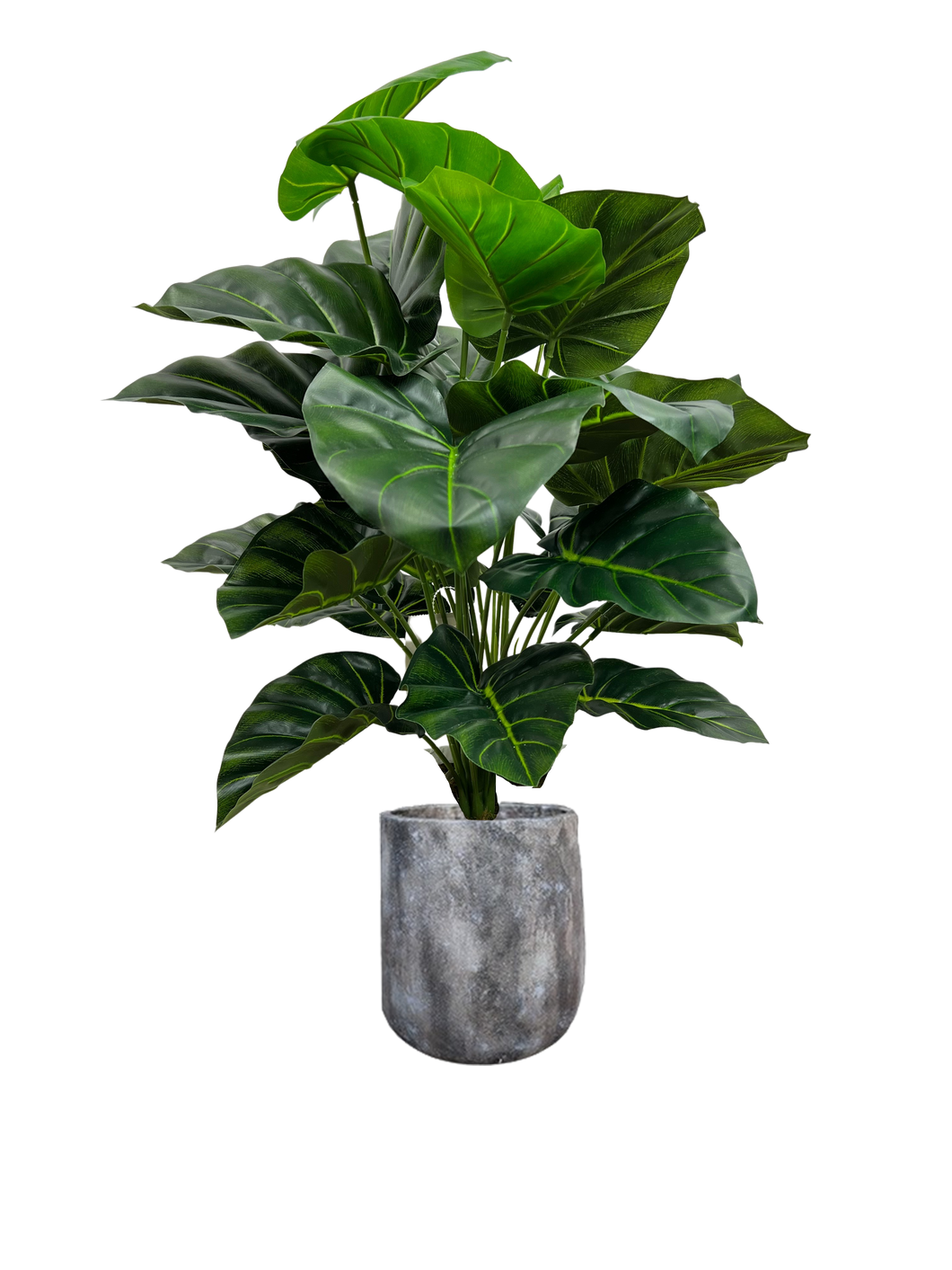 3' CASIA PLANT IN FBRGL