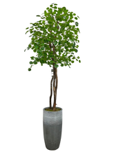 Load image into Gallery viewer, 8&#39; APPLE IN GRAY FBRGL
