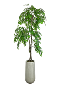 7.5' WISTERIA IN GRAY FBRGL